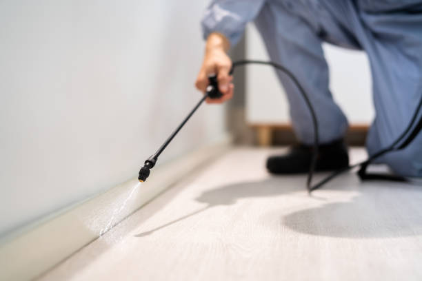 Licensed Mosquito Control service in Columbus, IN - Show Me Pest Control